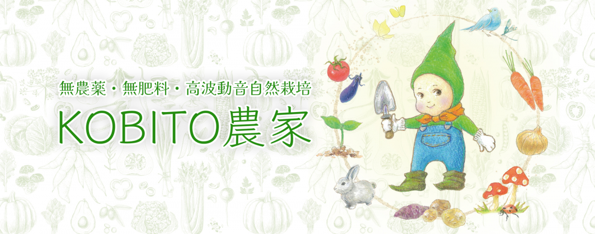 自然栽培(全20巻) 自然栽培🌿私のバイブルはこれ❗️☝️✨虫や草、病気の考え方